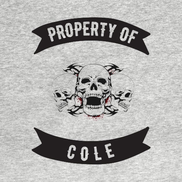 Cole Property Patch by Nicole James